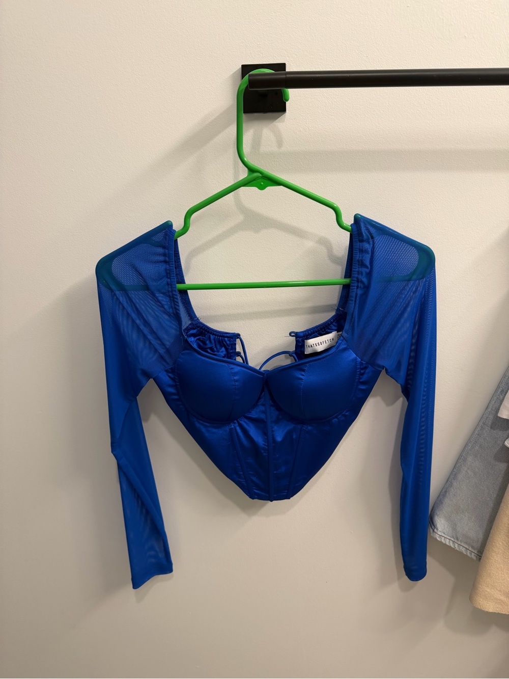 That’s So Fetch Blue Satin Mesh Sleeve Corset Top US 2
